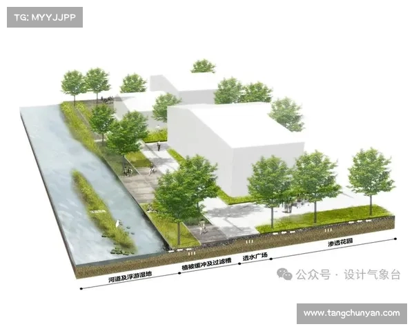降级区：重新定义城市未来的绿色生态与社区发展