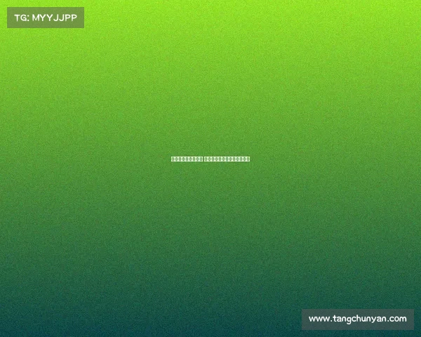 英超赛季评分全解析 每队表现与关键球员深度评估